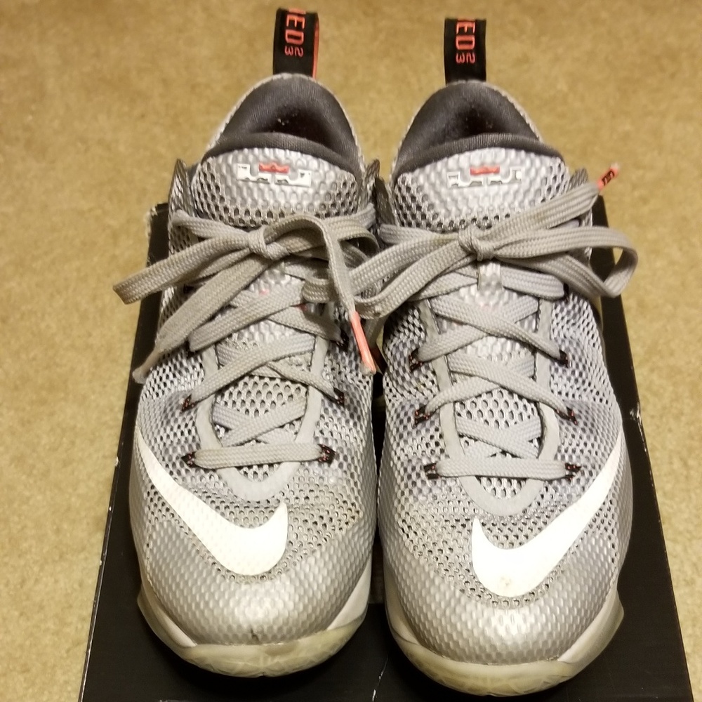 Lebron XII Low (GS) Wolf Grey/White